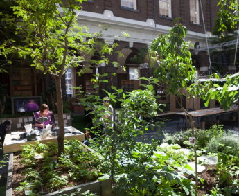 Bibliotheek Schiedam